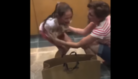 ბავშვის გულწრფელი სიხარული, როდესაც მას ლეკვი აჩუქეს (ემოციური ვიდეო)