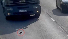 მამაკაცმა მანქანებით გადარტვირთული გზიდან ერთი ციდა კნუტი გადაარჩინა (+ვიდეო)