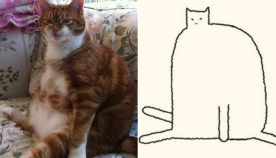 კატების 15 ყველაზე სახალისო ტრანსფორმაცია მხატვარმა მარტივი მონახაზით შექმნა (სახალისო ფოტოები)