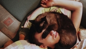 რატომ უყვარს კატას ძილის დროს პატრონზე წოლა