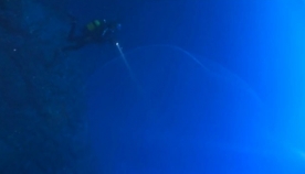 22 მეტრის სიღრმეზე დაივერებმა აღმოაჩინეს ის, რის გამოც ოკეანეში ცურვა უფრო საშიში გახდა! (+ვიდეო)