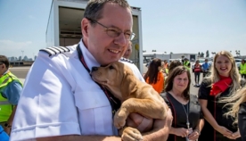 ავიაკომპანიამ ქარიშხალ "ჰარვის" დროს  ათობით დაზარალებული უპატრონო შინაური ცხოველი გადაარჩინა