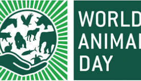 4 ოქტომბერს საქართველოში ცხოველთა დაცვის საერთაშორისო დღე (World Animal Day) აღინიშნება