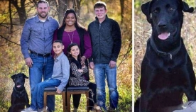 ოჯახი რამდენიმე საათი ეძებდა თავის დაკარგულ ძაღლს, რომელიც უჩვეულო კომპანიონებთან ერთად სახლიდან გაიქცა