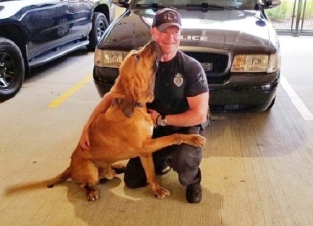 ძაღლი, რომელიც პოლიციაში რამდენიმე წელი მსახურობდა, ავადმყოფობის შემდეგ სრულიად მარტო დარჩა