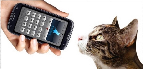 ტელეფონის ახალი აპლიკაცია, თქვენს ნათქვამს კატას თავის ენაზე უთარგმნის