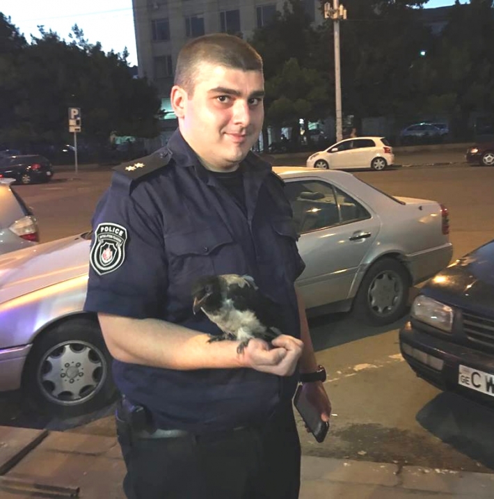 პოლიციელი და ყვავის ბახალა - ერთი თბილისური მეგობრობის ამბავი!