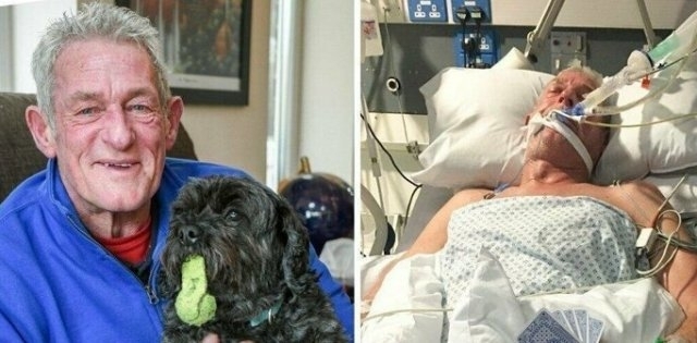 ძაღლი-თერაპევტი: შინაურმა ცხოველმა პატრონი კომიდან გამოიყვანა და კლინიკებში თერაპევტად მუშაობა დაიწყო