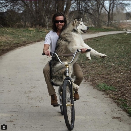 მოგზაურ ძაღლს ინსტაგრამზე მილიონამდე თაყვანისმცემელი ყავს (13 ფოტო)