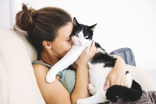 10 მიზეზი, თუ რატომ უნდა აიყვანოთ კატა