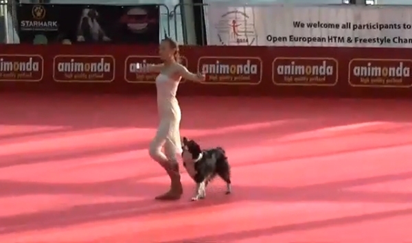 საოცარი სანახაობა - ძაღლისა და გოგონას ერთობლივი გამაოგნებელი ცეკვა!