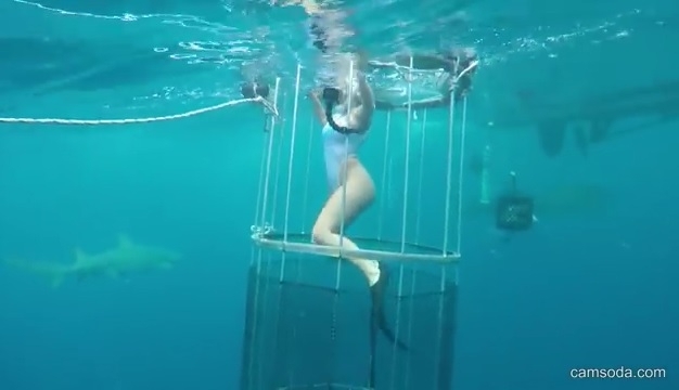 ამერიკელ პორნომსახიობს გადაღების დროს ზვიგენმა უკბინა (+ვიდეო)