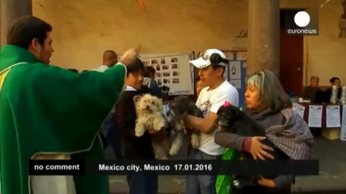 მექსიკა: წმინდა ანტონის დღეს ცხოველები ნაკურთხი წყალით დალოცეს (+ვიდეო)