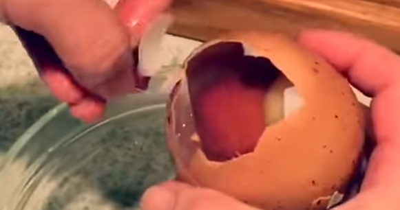 ფერმერმა დიდი ზომის კვერცხი იპოვა და ვერ წარმოიდგენთ,  როცა ის გატეხა,რა აღმოჩნდა მასში (+ვიდეო)