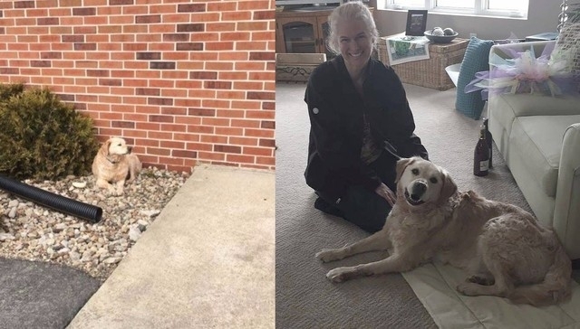 ძაღლმა, რომელიც ეკლესიაში დატოვეს, ოცნების სახლი იპოვა