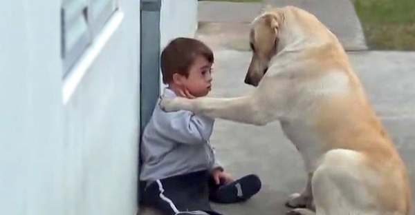 დაუნის სინდრომის მქონე ბავშვის ერთადერთი მეგობარი ... ძაღლის დამოკიდებულება მისდამი ცრემლისმომგვრელია (+ვიდეო)