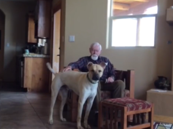მამაკაცი, რომელსაც ალცჰეიმერის დაავადება აქვს არ ლაპარაკობდა, თუმცა, ძაღლმა მისი ცხოვრება შეცვალა (+ვიდეო)