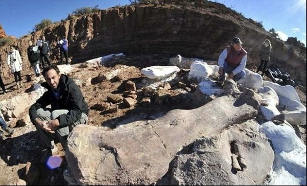 არგენტინაში 25 მეტრი სიგრძის დინოზავრი აღმოაჩინეს