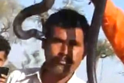 ინდოეთში კობრამ ტურისტი მასთან ერთად სელფის გადაღების დროს სასიკვდილოდ დაკბინა