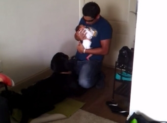მამამ ახალშობილი ბავშვი ოჯახის ბინადარ ძაღლს გააცნო. როგორ მიიღო ძაღლმა ჩვილი? (+ვიდეო)