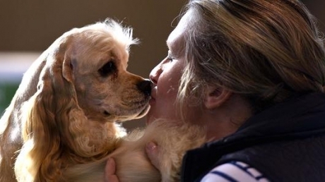 ძაღლს შეუძლია დიაბეტით დაავადებულ ადამიანს ჰიპოგლიკემიის შეტევა უწინასწარმეტყველოს