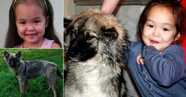 დაკარგული ბავშვი 11 დღის შემდეგ იპოვეს, ის თავისმა ძაღლმა გადაარჩინა