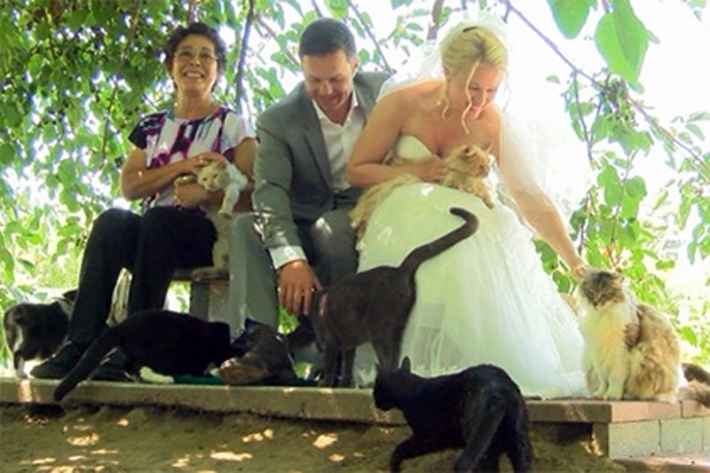 წყვილმა ქორწილში ათასი კატა დაპატიჟა (+ფოტო)