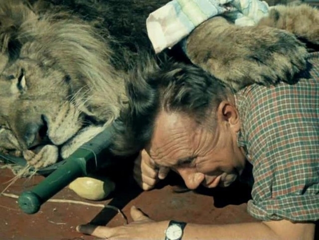 ამ კომედიაში ერთ-ერთი სცენის გადასაღებად ლომი... მოკლეს...