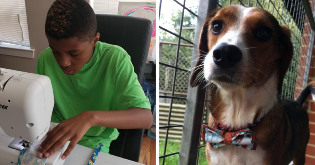 12 წლის ბიჭმა მიაგნო საშუალებას, რითაც უპატრონო შინაურ ცხოველებს დაეხმარება