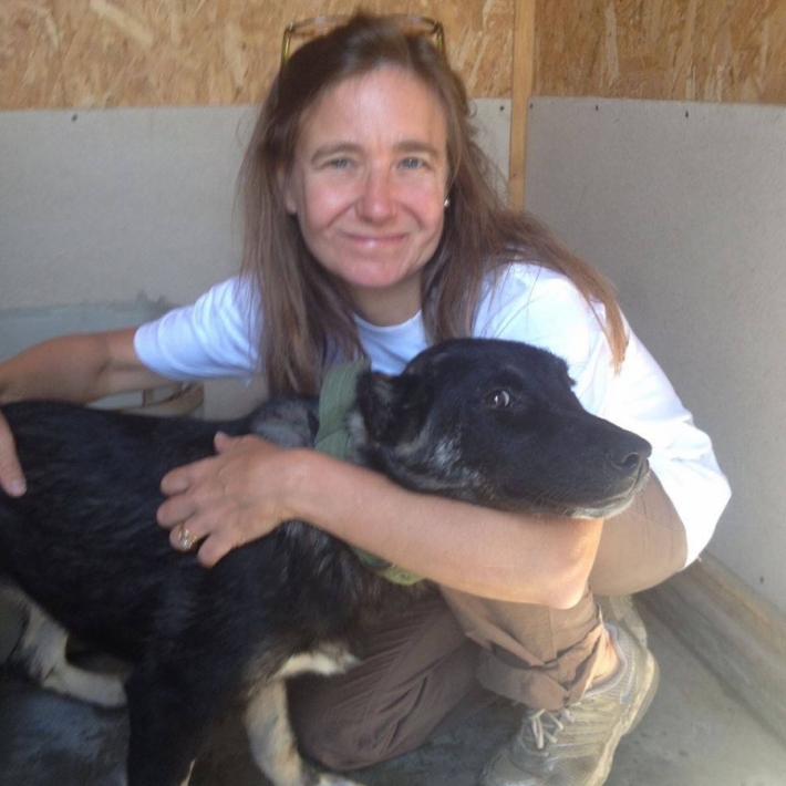"საქართველოს ძაღლების ორგანიზაცია“ - ლისის ტბის თავშესაფარი, სადაც ძაღლები კარგ პირობებში ცხოვრობენ და კეთილ პატრონებს პოულობენ