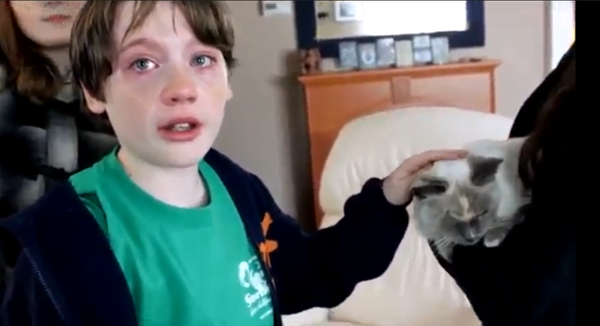 ბავშვმა სიხარულისგან იტირა, როცა დედამ 2 თვის დაკარგული კატა მიუყვანა (+ვიდეო)