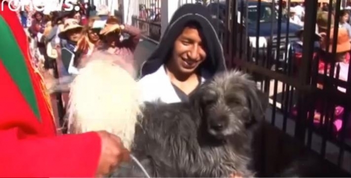 როკო - ძაღლების წმინდანი (+ვიდეო)