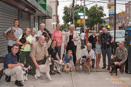 ნიუ-იორკში არსებობს ვირთხების დამჭერთა დაჯგუფება, რომელიც სხვადასხვა ჯიშის ძაღლებისგან შედგება