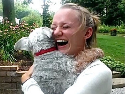 ძაღლს პატრონის დანახვაზე სიხარულისგან გული წაუვიდა (+ვიდეო)