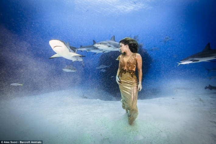 ბრაზილიელი მოდელი ზღვის მტაცებლების დასაცავად წყალში ზვიგენებთან ერთად ჩავიდა (+ფოტო)