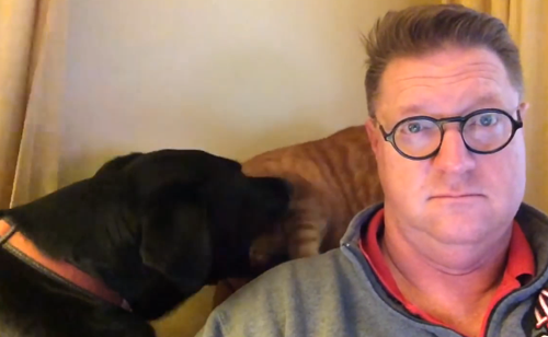 მამაკაცმა ვიდეოზე აღბეჭდა, თუ როგორია მისი ცხოვრება კატასა და ძაღლთან ერთად