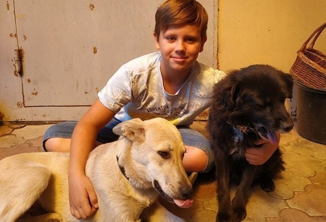 მეხუთე კლასელი ბიჭი ქუჩაში ლიმონათს ყიდდა, რათა ძაღლის სამკურნალო ფული შეეგროვებინა