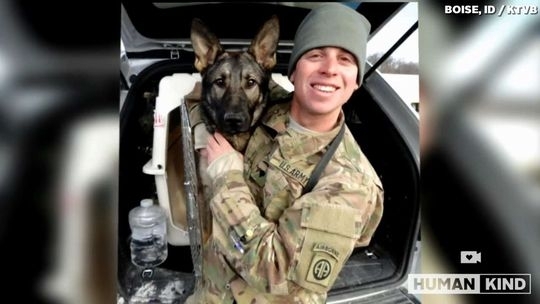 ჯარისკაცი 3 წლის შემდეგ შეხვდა ძაღლს, რომელთან ერთადაც იბრძოდა (+ვიდეო)