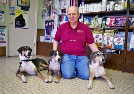 ვეტერინარმა 100 ათასი დოლარი დახარჯა საყვარელი ძაღლის კლონირებისთვის