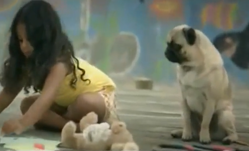 ძაღლი ზრუნავს პატარა გოგონაზე (+ვიდეო)