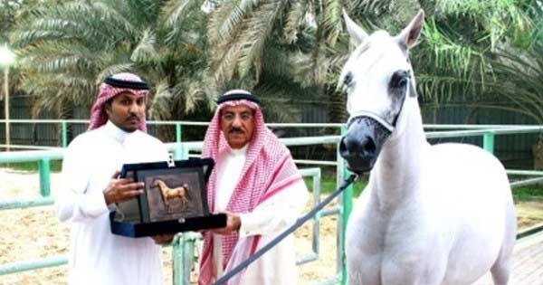 საუდის არაბეთში 12 მილიონ დოლარად შეფასებულ ცხენს, ჰომოსექსუალობის ბრალდებით, სიკვდილით დასჯიან