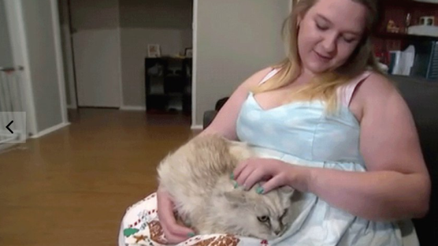 გოგონამ 14 წლის წინ კატა დაკარგა, ამ დროის განმავლობაში, ცხოველი მის სიახლოვეს ცხოვრობდა