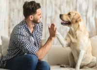 15 ძაღლი, რომლებიც გვაჩვენებენ, რა არის სიყვარული და მზრუნველობა