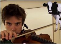 მუსიკოსი ვიოლინოს დახმარებით ცხოველების ხმის იმიტირებას საოცრად ასრულებს (+ვიდეო)