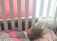 ბავშვი და ძაღლი საეჭვოდ გაჩუმდნენ.. დედა დაინტერესდა რა ხდებოდა… (+ვიდეო)