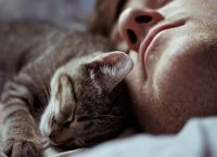თუ კატას თქვენს საწოლში ძილი უყვარს. აი, რას ნიშნავს ეს...