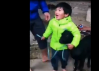 ბავშვი იცავს ციკანს, რომელიც ძველი ტრადიციების მიხედვით მსხვერპლად უნდა შეწირონ (+ვიდეო)