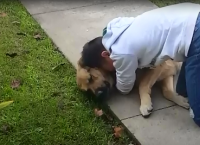 ბავშვს თავისი დაკარგული ძაღლის პოვნის იმედი აღარ ჰქონდა, 8 თვის შემდეგ მეზობელმა მას სიურპრიზი გაუკეთა (+ვიდეო)