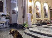ძაღლი, რომელიც პატრონის გარდაცვალების შემდეგ ტაძარში წირვას მარტო ესწრებოდა