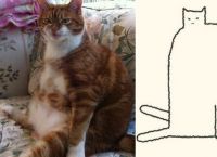კატების 15 ყველაზე სახალისო ტრანსფორმაცია მხატვარმა მარტივი მონახაზით შექმნა (სახალისო ფოტოები)